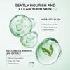 Easilydays Green Tea Exfoliating Gel, Moisturizing Rejuvenating Facial Exfoliator, Deep Cleaning, Smooth, Refreshing & Oil Control, Remove Old Dead, Lightweight Cleanser for All Skin Types, 1.05oz view 3
