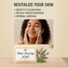 Ammoya Naturals Handcrafted Tallow & Goat Milk Soap Bar Gentle Cleansing Bar for Face & Body Natural Essential Oil Variations Moisturizing, Creamy Lather, For All Skin Types (Clary Sage) view 3