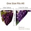 RODAILYCAY 4 Pack Hair Scarf Headband for Women Girls Non Slip Head Covers Grape Elastic Triangle Head Scarf Bandana view 4