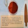 3.52Ounce / 100Gram Red Ocher Powder - Geru Mitti Powder - Kaavikkal view 2