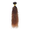 T1B430 Curly Wave Human Hair Bundles Ombre Brown 26 Inch 3 Tone Brown 1 Bundles Human Hair Extensions 100 Gram Per Bundle Unprocessed Virgin Double Weft view 2