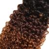T1B430 Curly Wave Human Hair Bundles Ombre Brown 26 Inch 3 Tone Brown 1 Bundles Human Hair Extensions 100 Gram Per Bundle Unprocessed Virgin Double Weft view 4