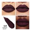 2-IN-1 Lipstick Lipliner, Velvet Matte Finish, Smooth & Plump, 12 Universal Lip Color-Nude Pink Rose Mauve Berry Plum, Creamy Formula for Lip Makeup, All-Day Wear, Cruelty-Free (#12 CHARCOAL VELVET) view 3