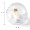 Fairsailrain Nail Grinding Head Cleaning Brush, Detachable Cleaning Case with 2 Soft & Hard Steel Wire Brushes, Versatile Tool for Professional Nail Salons (White) view 2