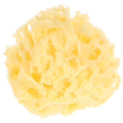 Beaupretty Natural Honeycomb Bath Sponge Soft Gentle Scrubber for Delicate Skin Super Absorbent Shower Sponge for Boy Girl Multi-use Cleansing Tool for Baths and Facial Care