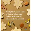 Native Limited Edition Holiday Body Wash Scrub - Sugar Cookie - 12oz - Pack Of 01 view 3