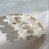 6-Pack Camellia Hair Claw Clips - Pearl White Luxury Flower Hair Accessories, Small Elegant Bang & Side Hair Clips for Women view 2