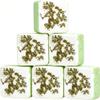 Mint Scented Bath Bomb - YC189, 3.53 oz, Pack of 6 - Perfect for Bubble Spa Bath - Essential Oil Personal Care Bath Gift for Birthday Mothers Day Christmas view 1