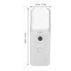 CIYODO Portable Nano Facial Mister USB Cool Mist Sprayer for Skin Hydration and Moisturizing Abs Facial Humidifier for Home Office Car Use Suitable for Mineral Water and Toner White view 2