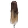 KunEchevyr Blonde Gray Gradient Wig Hair Mannequin Head, Hairdressing Styling Training Head, High Temperature Synthetic Hair with Clear Hairline, Braiding Practice Doll Head Kit for Beauty St view 2