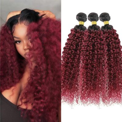 Ombre Burgundy Water Wave Bundles 18 20 22 inch Ombre Bundles Human Hair Brazilian Hair Wine Red Virgin Hair Weave for Women Black Ombre Burgundy#T1B/BURG)