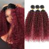 Ombre Burgundy Water Wave Bundles 18 20 22 inch Ombre Bundles Human Hair Brazilian Hair Wine Red Virgin Hair Weave for Women Black Ombre Burgundy#T1B/BURG) view 1