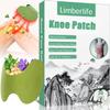 Limberlife Knee Patch, 36Pcs Natural Knee Patch, Wormwood Knee Patches for Back, Warming Herbal Patches for Knee Neck Shoulder view 1
