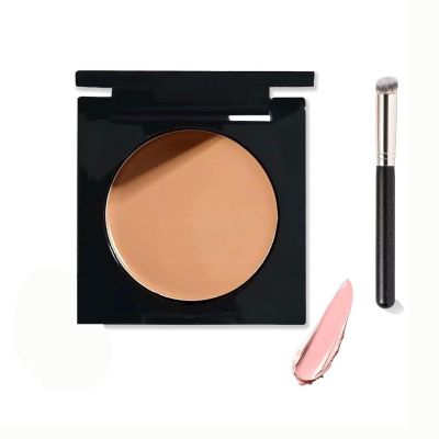 Under Eye Concealer - Colour Corrector, Pink Concealers For Dark Circles, Concealer Brush For Colour Correctors Dark Circles, Effectively Covering Darks Circles, Light To Medium Skin Tone (#3, 15g)