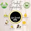 Lip Sugar Scrub Herbal Natural Essential Oils Exfoliating Balm Polish Scrubber for Men Women Smoked Dry Dark Chapped Lips to Lighten Pigmentation Dead Skin Tan Removal (10-gm) (Cow Ghee). view 3