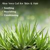 BEMT Pure Aloe Vera Gel for Face, Skin & Hair | Hydrating & Soothing Daily Moisturizer | Multi-Purpose Beauty Gel 200g view 4