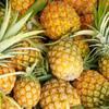 Pineapple Seed Oil, Organic, Cold Pressed, Unrefined, Natural, 2 Fl Oz view 3