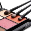 10PCS Eye Makeup Brushes Set, Multifunctional Eyeshadow Brush Set Portable Eye Shadow Brush with Soft Hairs, Professional Blending Smudging Defining Eyeliner Brushes for Aegyo-Sal Contouring Brighten view 2