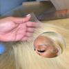 Alididi Skinlike Real Hd 613 13x6 Lace Front Wig Human Hair Pre Plucked Bleached Knots 200% Density 0.10mm Ultra-Thin Invisible Lace Blonde Wig Human Hair Body Wave For Women 22 Inch view 2