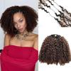 Ssawhair #T1B/4 Afro Kinky Curly Crochet Human Hair Extensions 16" 240g view 1