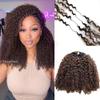 Ssawhair #T1B/4 Afro Kinky Curly Crochet Human Hair Extensions 16" 240g view 2
