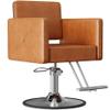 LOUVIXA Barber Chairs for Hair Stylist, Height Adjustable Hydraulic Salon Chair, 360 Degrees Rotation, Multi-Function Shampoo Chair for Salon Home Barbershop (Brown) view 1