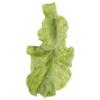 STOBAZA Lettuce Leaf Hair Clip for Women, Cute Green Vegetable Hairpin, Fashion Hair Accessories for Casual and Daily Wear view 1