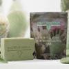 Nutrivina Cactus & Kojic Acid Facial Bar Soap, Brightening & Dark Spot Treatment, Hydrating, Skin Regeneration, Blemish Fighting view 2