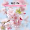 Japan Sakura Skin Care Set For Teens Gift - All In One Set Skin Care For Kids 10 -12- Kids Skin Care Set For Girls Ages 8-12 - Skincare For Girls 10-12 - All In One Teen Skin Care - Hydrating view 2