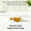 Stem and Soul Soap, Upgraded Stem & Soul Turmeric Lemon Soap Bar For Dark Spots, Support Nourishes And Clarifies Help Cleaning Facial And Body Skin, And Suitable Dry And Oily Skin. (3 Pcs) view 2