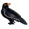 Crow Claw Clips,Cute Crow Hair Clip,Bird Hair Clips,Animal Shape Hair Jaw Clips,Acetate Hair Clips for Girls,Big Claw Barrettes for Women (Crow) view 1