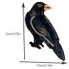 Crow Claw Clips,Cute Crow Hair Clip,Bird Hair Clips,Animal Shape Hair Jaw Clips,Acetate Hair Clips for Girls,Big Claw Barrettes for Women (Crow) view 2