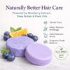 Blueberry Fields Shampoo & Conditioner Bundle Bars,2 In 1 Shampoo & Conditioner Bar Set for Thinning & Dry Hair,Blueberry Extract, Shea Butter,Orange Oil view 2