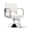Barber Salon Chair, 360 Adjustable Beauty Spa Hair Styling Salon Chair Rotatable Multi-Function Barber Chairs Modern Beauty Hairdressing Equipment w/ PU Cushion for Barber Shops (White and Silver) view 1