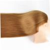 Mannequin Head with Hair Practice Braiding Dolls Synthetic Fiber Hair Training Model for Hairdressing (Golden) view 4