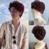 Hesperis Burgundy Human Men's Hair Wigs Short Curly Transparent Full Lace Red Wigs For Male Pre-Style Fashion Men's Curly Wigs (150density) view 1