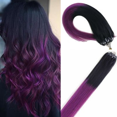 Fenicy Micro Ring Loop Human Hair Extensions Ombre Black to Purple 24inch