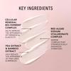 JLO BEAUTY That Spotlight Silhouette Firming Neck & Jawline Serum, 1.7 Oz view 3