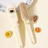 Jehoshaphat 2PC Bear-Faced Mini Folding Comb Plastic Fine Teeth Detangling Brush Portable Travel Hair Care Accessory Blue Beige Pink view 2