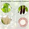 20 Pcs Natural Loofah Face Scrub Pads, 2.17 Inch Round Exfoliating Face Pads Loofah Sponge Pad for Women Men Daily Cleansing Makeup Dead Skin Removal view 3