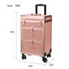 OGMOYT Hairdressing Trolley Salon Rolling Makeup Train Case Lockable Makeup Salon Luggage Hairdressing Trolley Travel Organizer Tool Beauty,Rose Gold 59.5X35X23Cm view 2