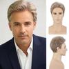 SEVENCOLORS Mens Short Wig Ash Brown Natural Hair Wigs for Men Halloween Costume Daily Synthetic Wigs view 1