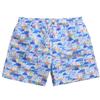 Dminyak Mens Swim Trunks 5 Inch Quick Dry with Mesh Lining, Elastic Drawstring Swim Shorts for Men, Blue Mediterranean Santorini Print Beach Bathing Suit view 1