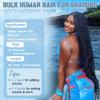 Human Braiding Hair for Boho Braids Human Hair 150g 20 Inch 6 Bundles/Pack Curly Boho Hair for Braiding Knotless Bulk Human Hair for Braiding 12A Deep Wave Bohemian Auburn Ginger 30# view 2