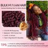 #99J Human Braiding Hair for Boho Braids 12 12 12 Inch #99J Burgundy Deep Wave Bulk Human Hair Wine Red Knotless Boho Braiding Curly Virgin Hair Extensions 150g view 4
