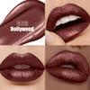 Dark Brown Metallic Lipstick Lip Liner Combo Glitter Lipsticks for Women view 2