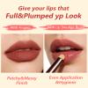 2Pcs Lip Brush Lip Smudge Brush Round head for Gloss Lipstick, Multi-purpose Makeup Blending Applicator, Reusable view 3