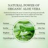 Aloderma Pure Aloe Vera Gel Made within 12 Hours of Harvest with 99% Organic Aloe Vera for Easy Travel Size for Body, Face, & Scalp, Cooling, Soothing Relief for Skin & Sunburn, 3blts view 4