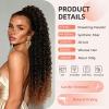 vroosar 28inch Drawstring Ponytail Extension,Hair Extensions For Women,Long Curly Ponytail Synthetic Hairpieces for Daily Use(T30) view 2