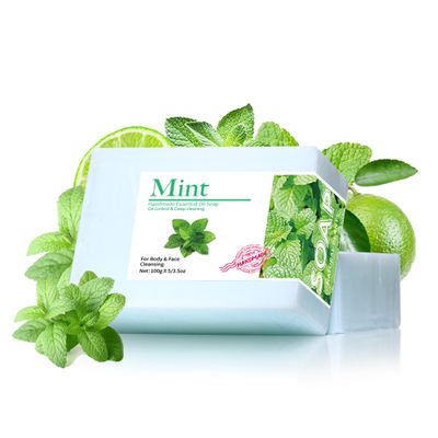 Easilydays Mint Soap Scrub Bar for Face & Body, Natural Organic Exfoliating Bar Handmade with Mint, Oil Control & Deep Cleaning, Moisturizing & Soothing Essential Oil for Your Skin, Non-Drying, 3.52oz